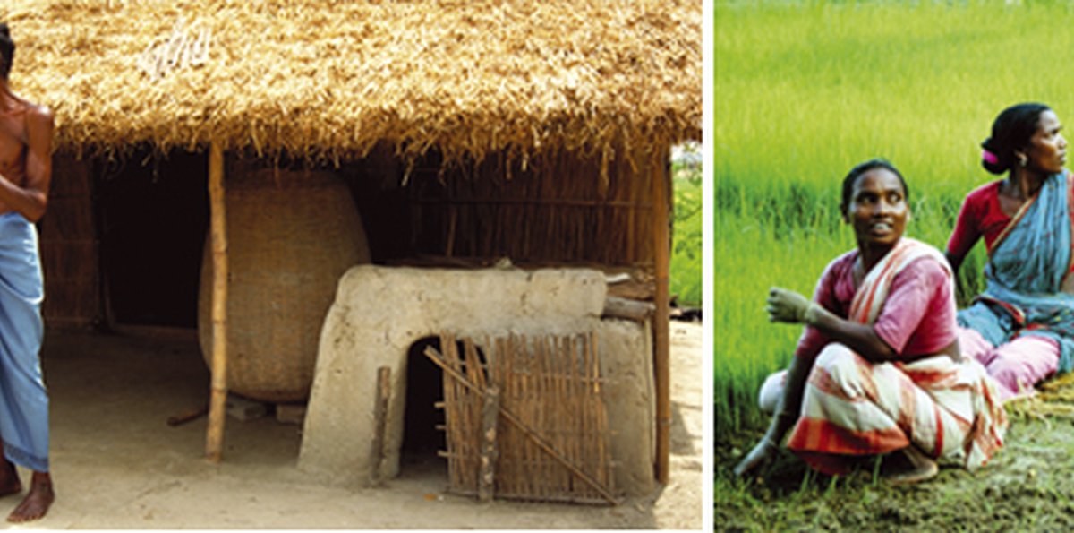 Rudrapur - Village study